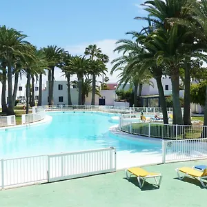 Oasis , Corralejo Spagna